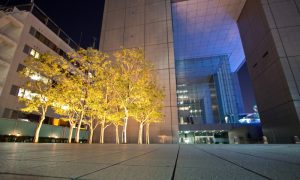 commercial-landscape-lighting